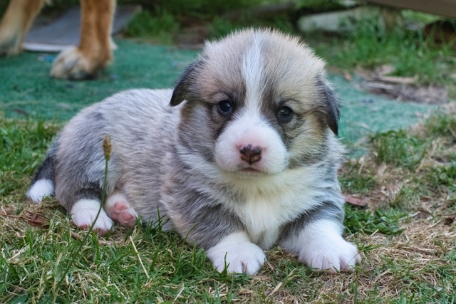 Bolt4wks