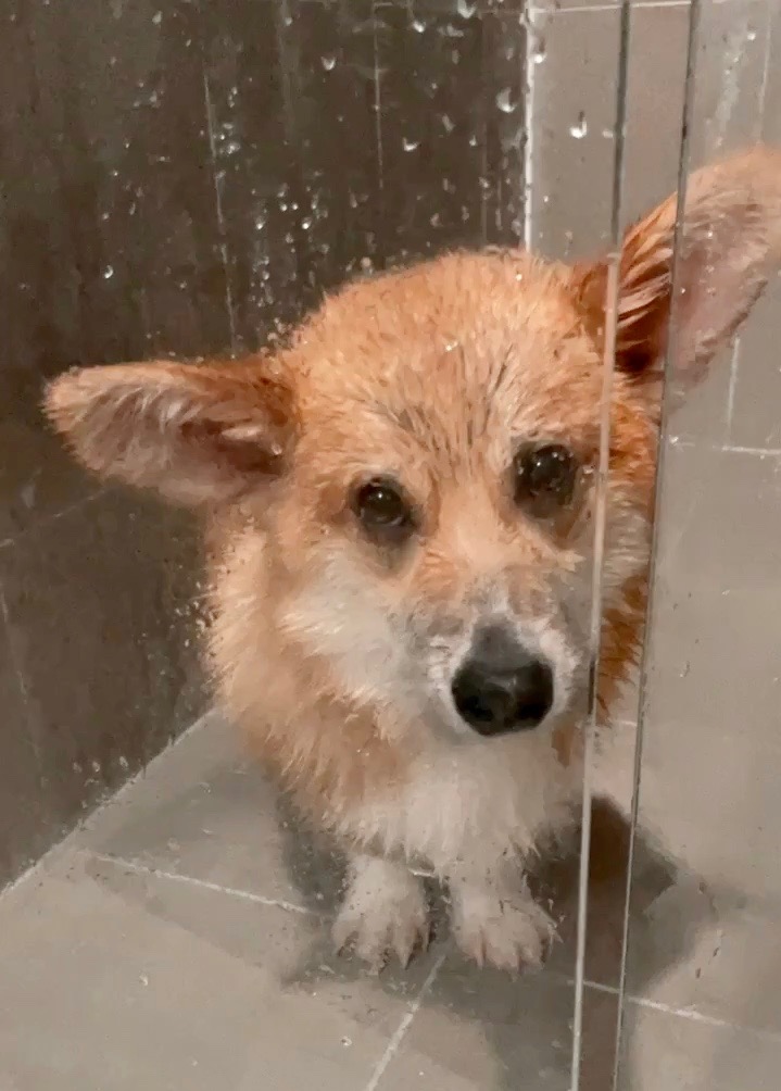 DukeSadFaceinShower