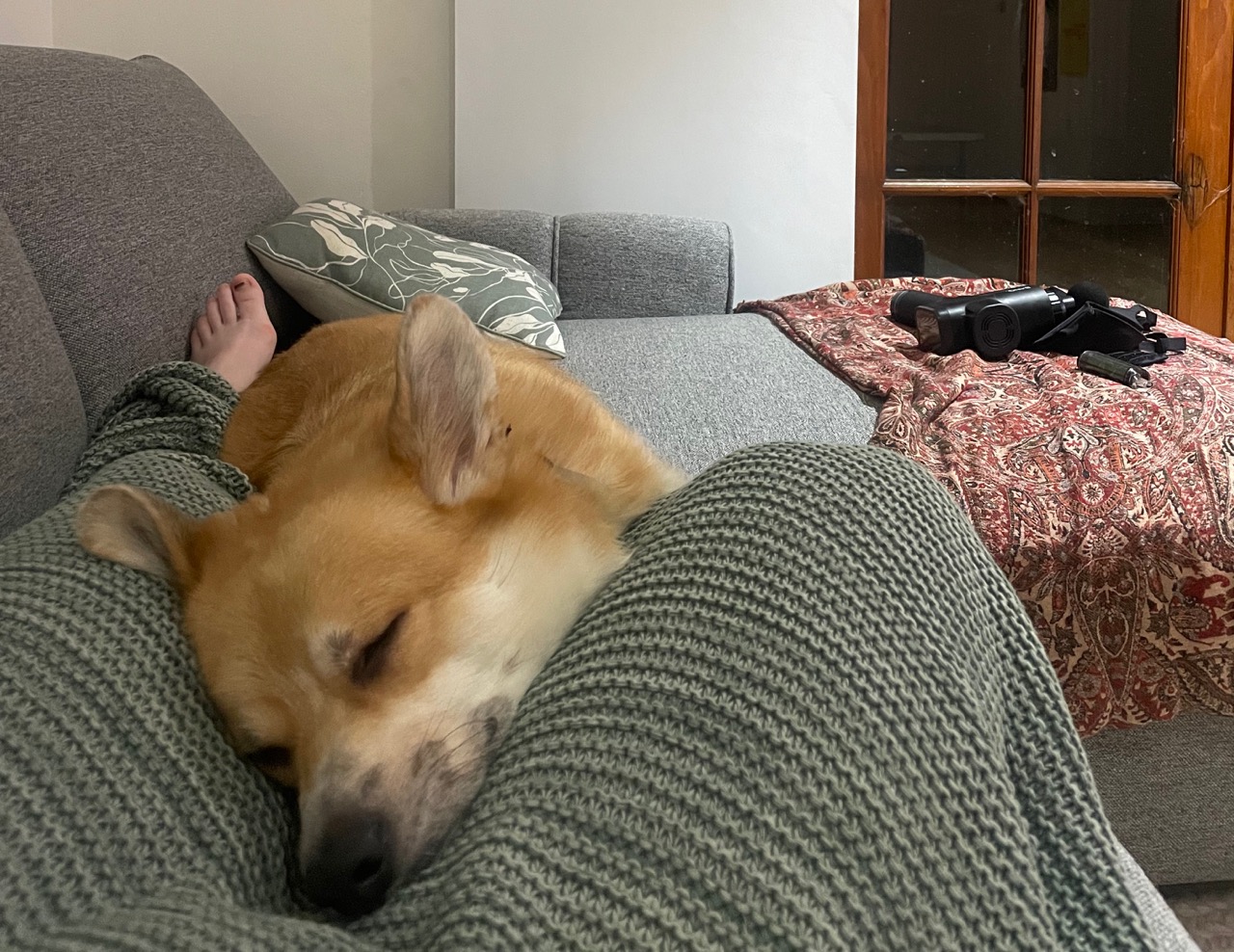 DukeSnoozing