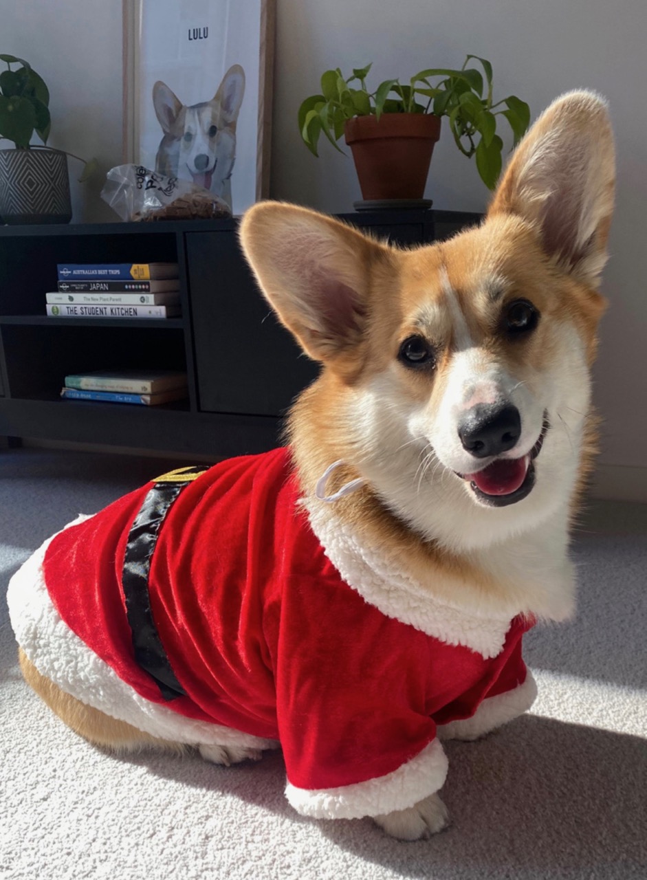 LuluChristmas211