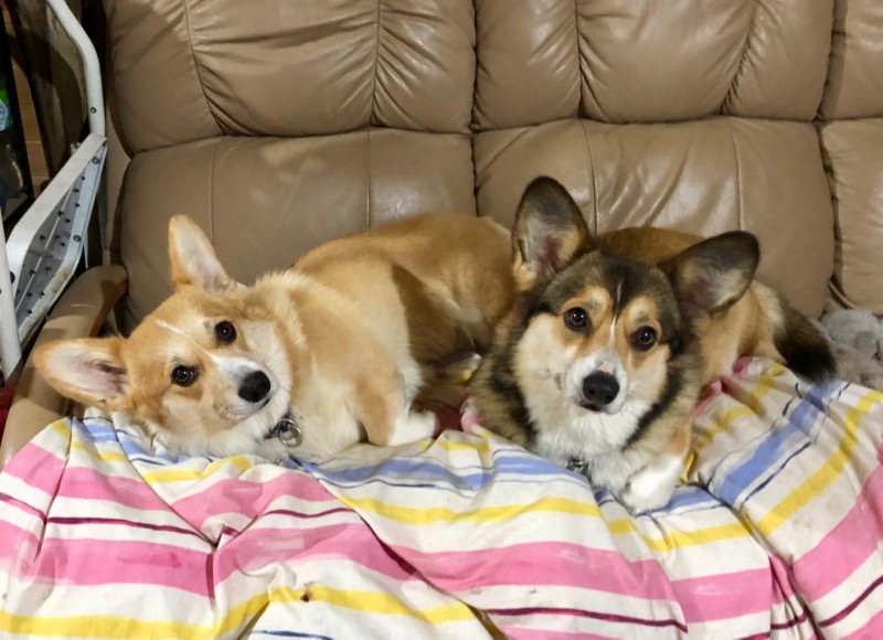 MapleandSoraJune23