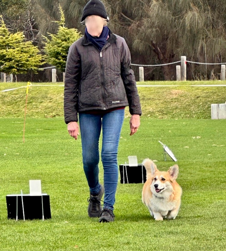 PoppyduringRally1