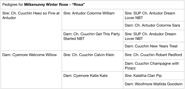 RosaPedigree