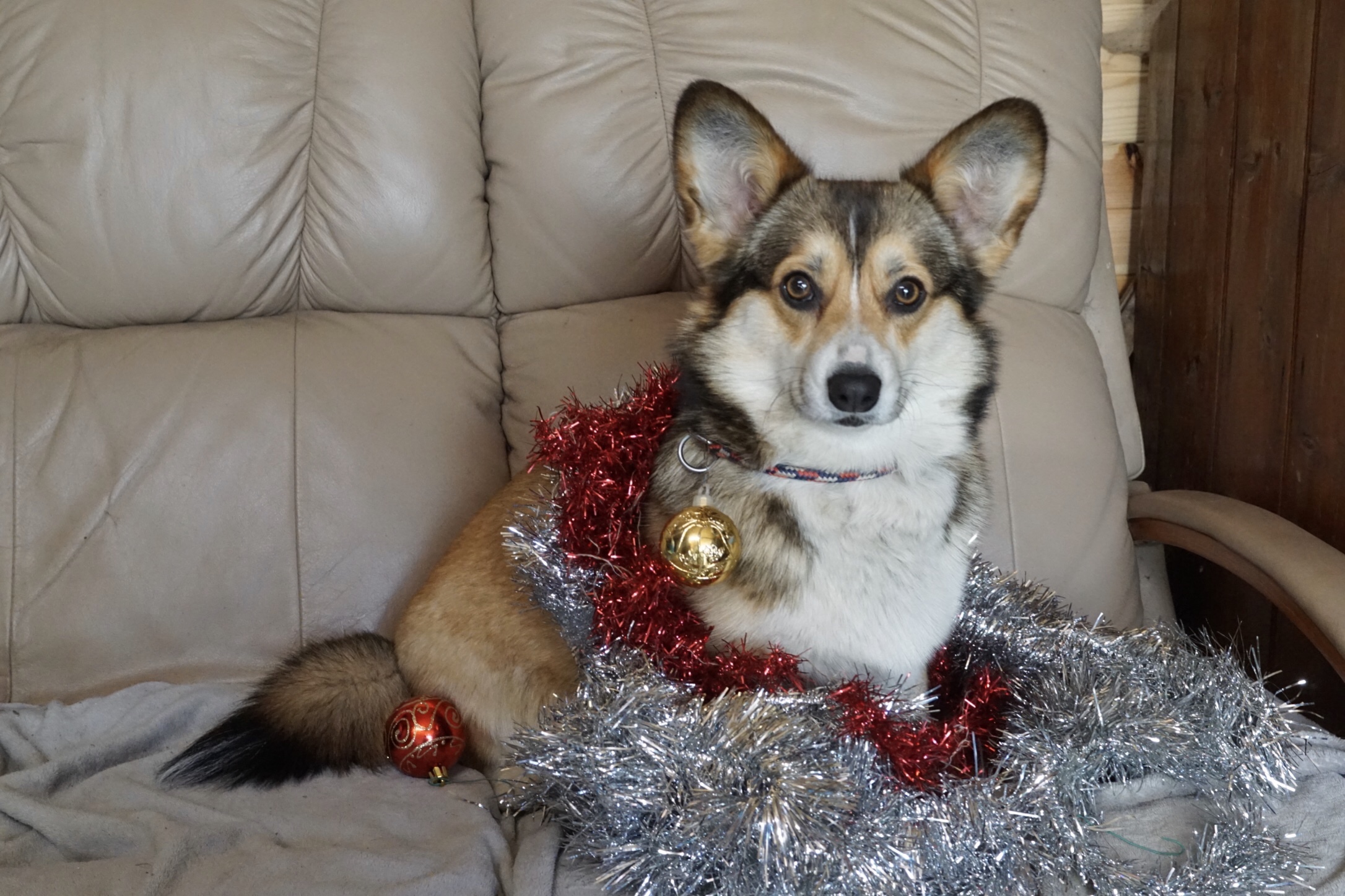 SoraChristmas22